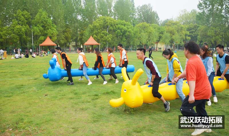 鼎光教育拓展團建活動2019 鼎光教育拓展團建活動2019