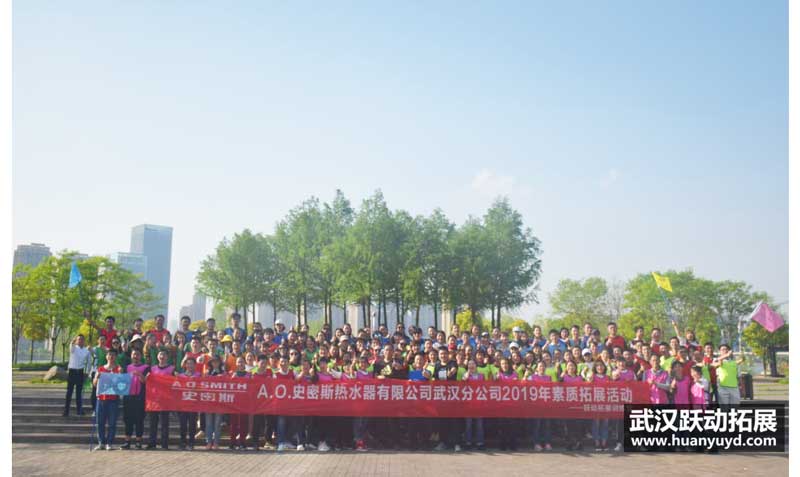 艾歐史密斯2019年拓展