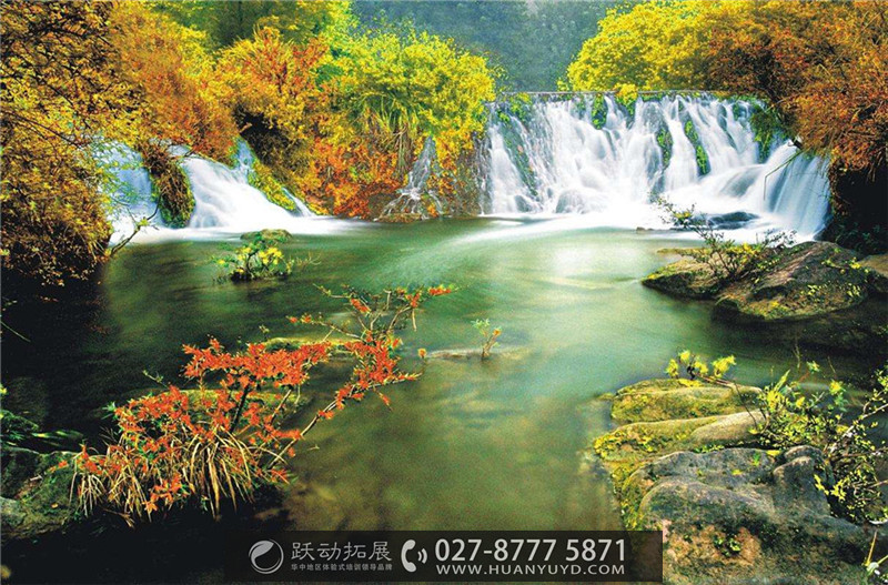 1495438784450671.jpg 2323.jpg