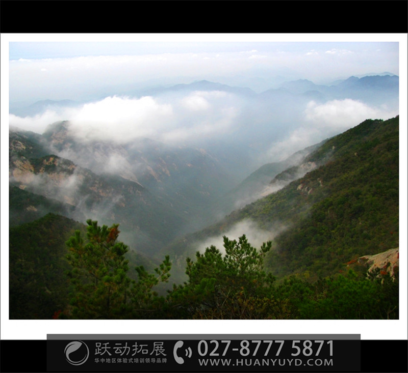 1486892310114443.jpg 1486892310114443.jpg