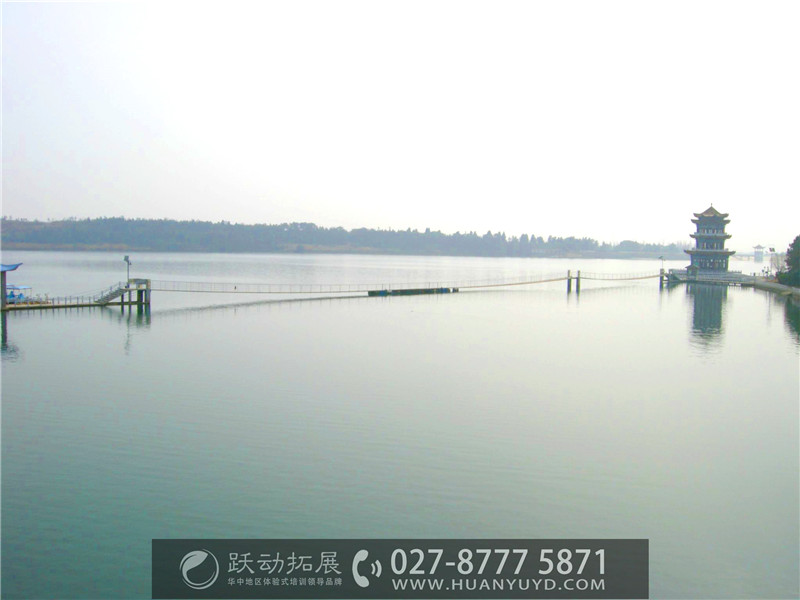 1487054691137774.jpg timg.jpg