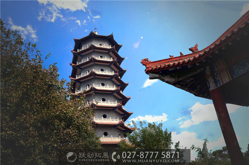 1487906660137607.jpg 2323223.jpg