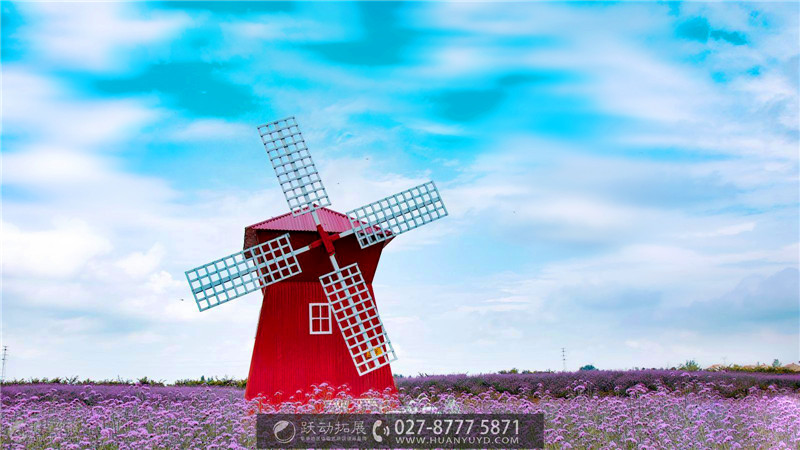 1488001917422227.jpg 3434.jpg