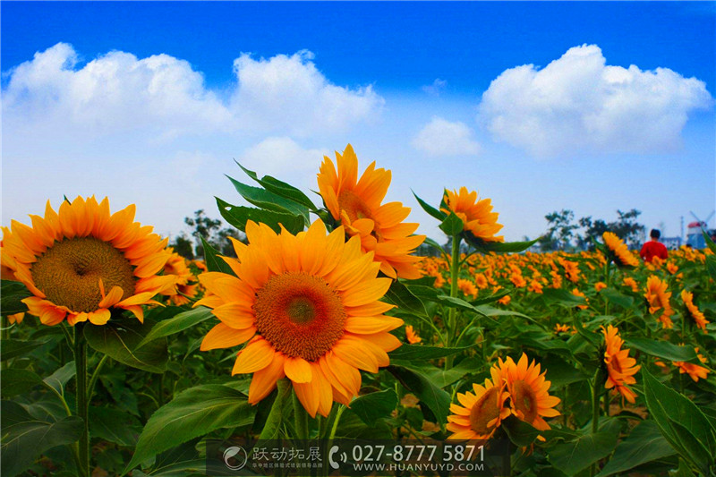 1488001920116177.jpg 454.jpg