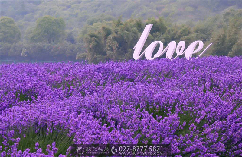 1488001921589148.jpg 44_看圖王.jpg