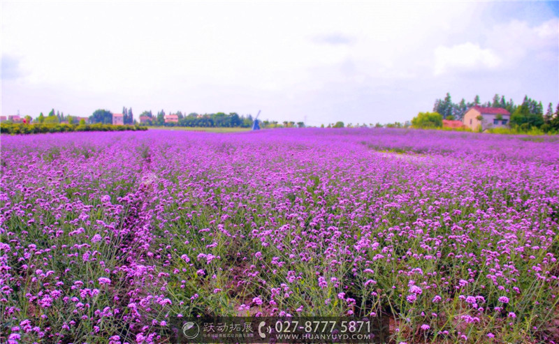 1488001922436213.jpg timg_看圖王.jpg