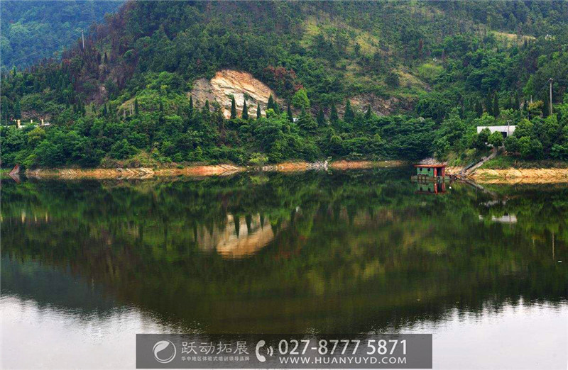 1488002274495855.jpg 3.jpg