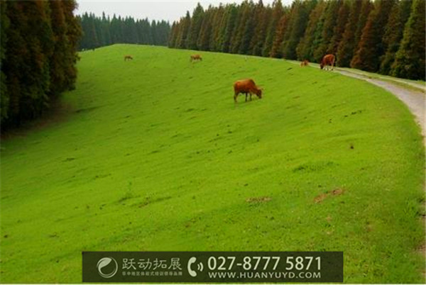 1488940870101326.jpg 2323.jpg