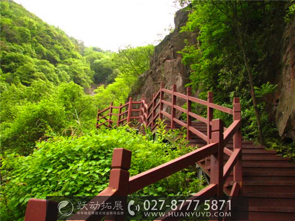 1488940871950098.jpg 4545.jpg