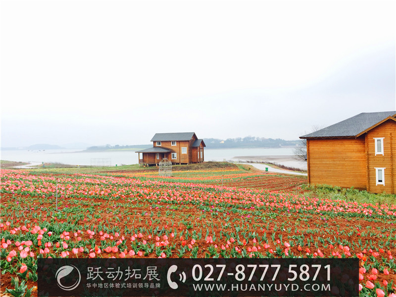 1489978905708130.jpg 603991650155906669.jpg