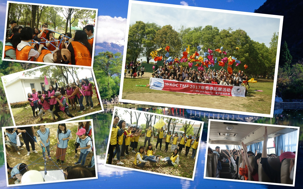 1492570561112312.jpg 輝瑞-九真山.jpg