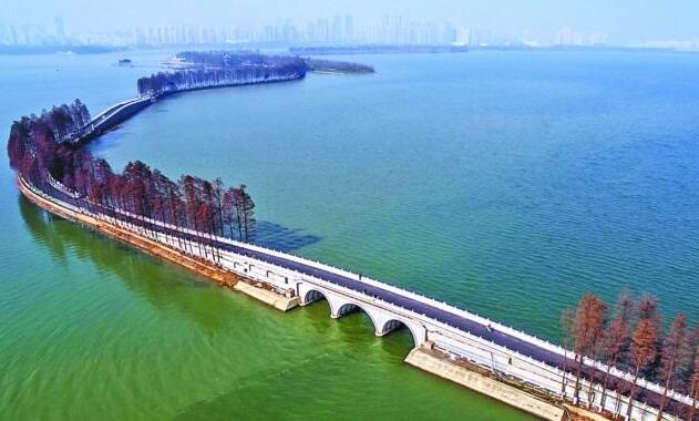 1519635801621600.jpg 綠道.jpg