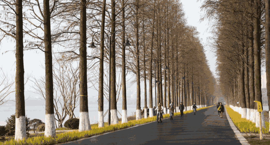 1519635819610879.png 綠道03.png