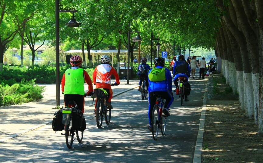 1519635926362502.jpg 騎行05.jpg