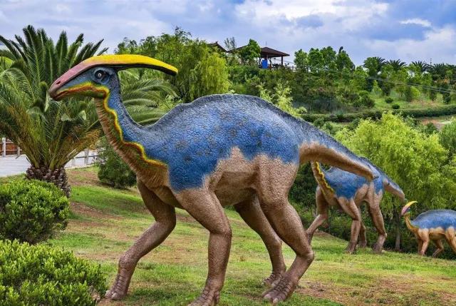 1527491541834997.jpg 14.jpg