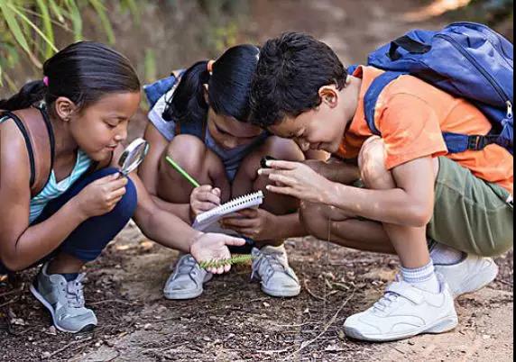 1527492957673645.jpg 3.jpg