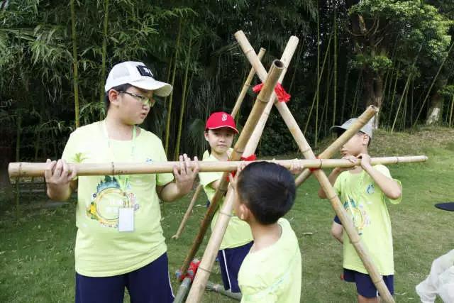 1527493246432251.jpg 11.jpg