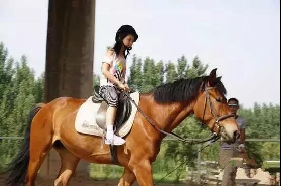 1527493289430881.jpg 13.jpg