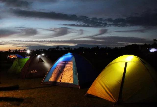 1527493349390316.jpg 15.jpg