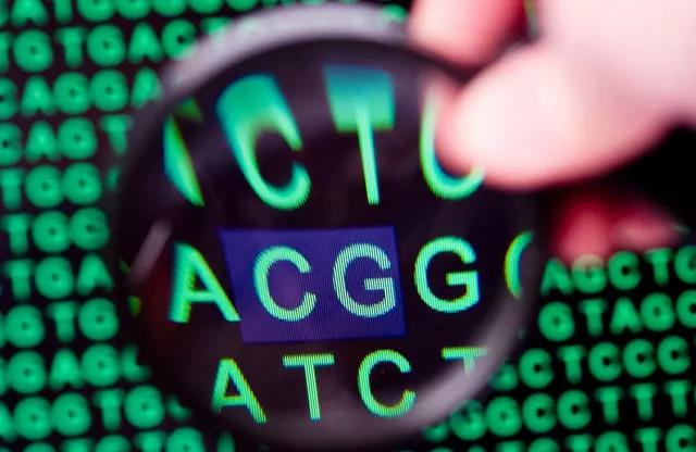 1527493530340567.jpg 21.jpg