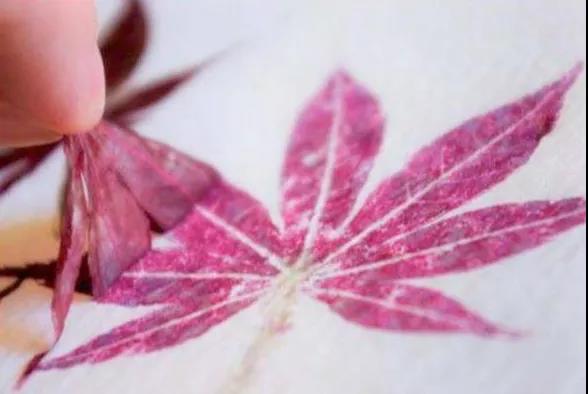 1527493657117079.jpg 23.jpg