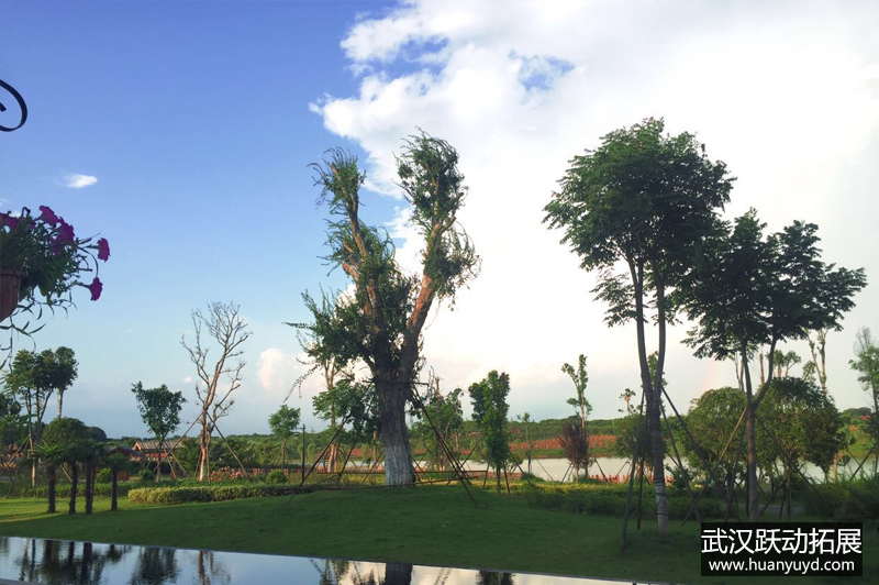 1561537127475560.jpg 東籬老屋6.jpg