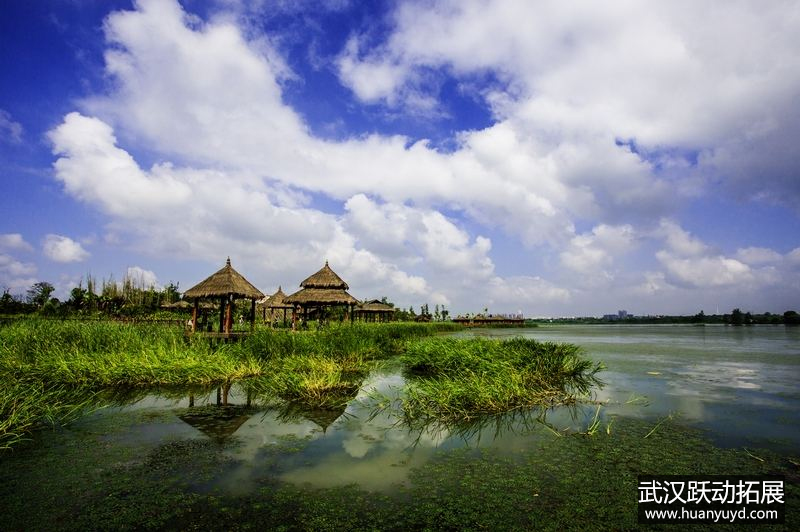 1561537579139915.jpg 后官湖1.jpg