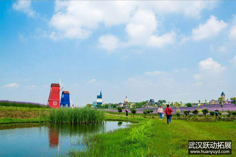 1561537700438347.jpg 花博匯6.jpg